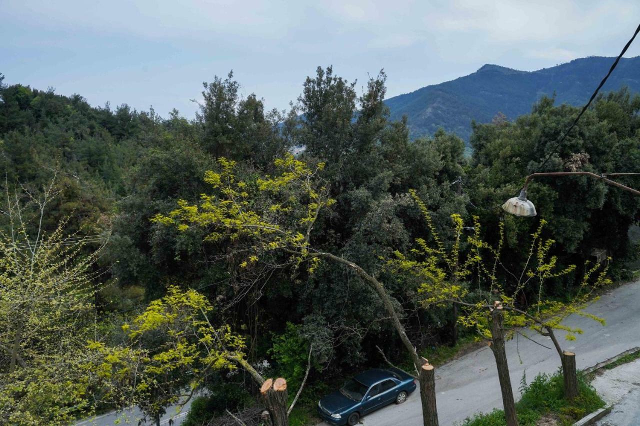 Ingreen Apartment Potamia (Thasos) Exterior foto